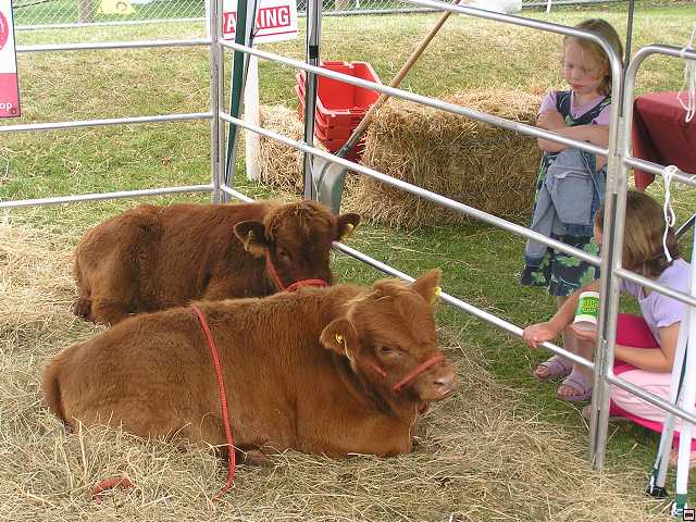 NZ leden-unor 2006 078.jpg